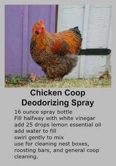 chickencoopdeoderizingspray