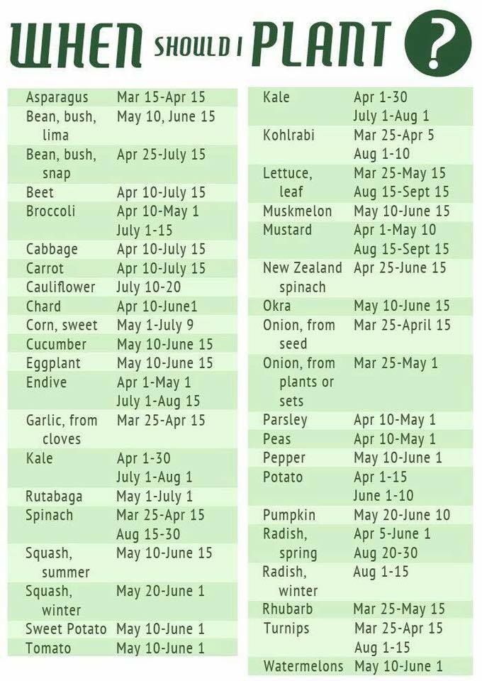 When Should I Plant?