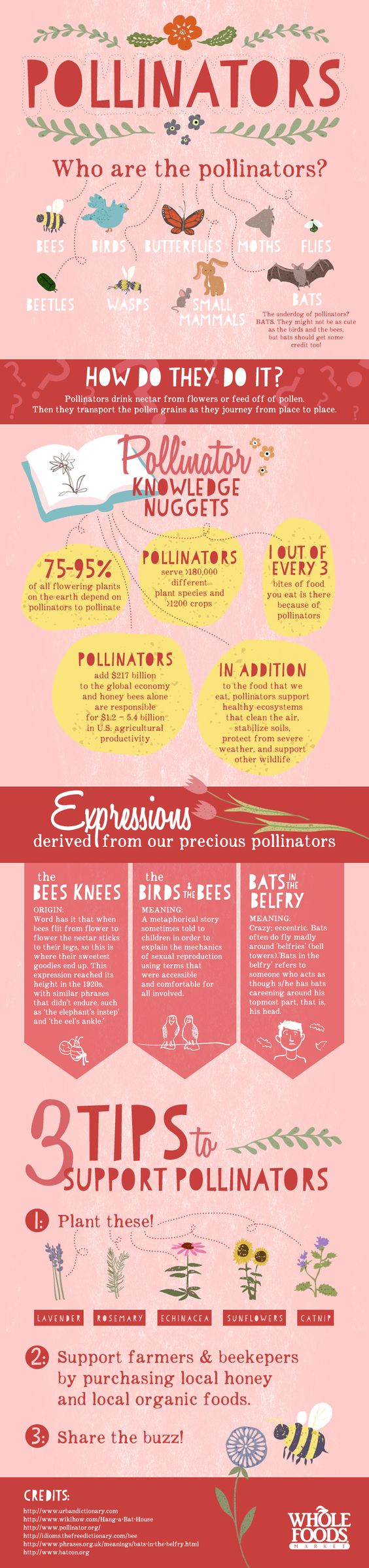 whoarethepollinators