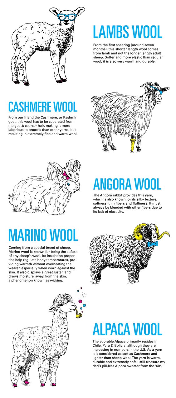 wooltypesforspinners