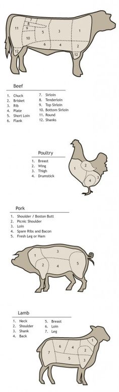 butcheringcuts