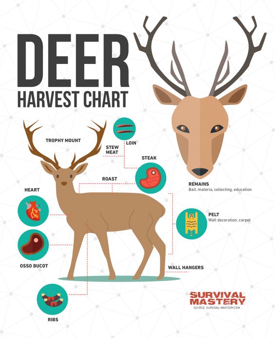 deerharvestchart